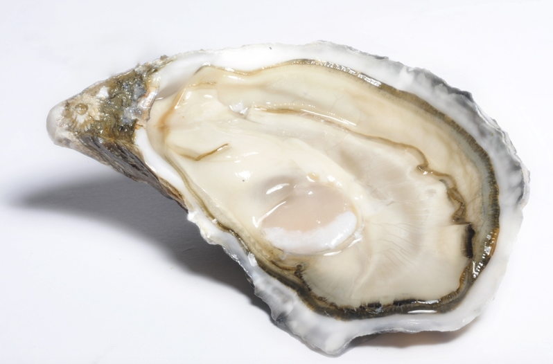 Gillardeau Gillardeau